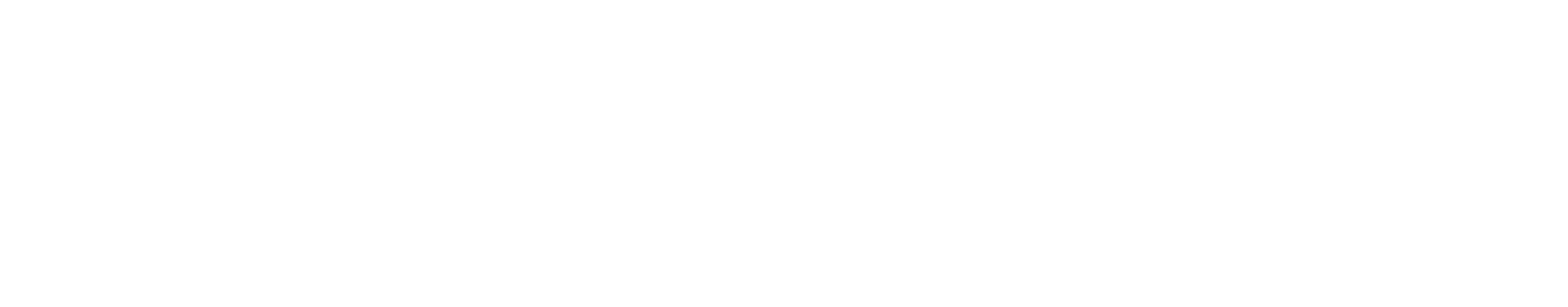 DmLogo-new